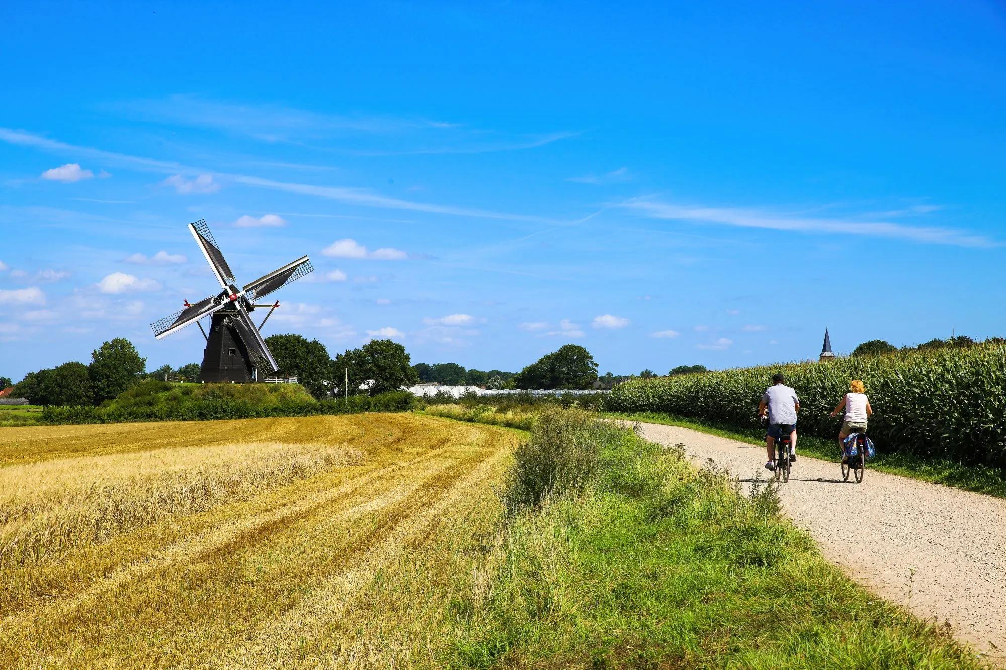 Homepage Photo
