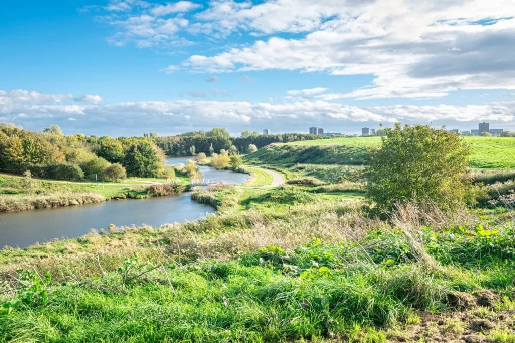 Green park landscape with river, walking path, and distant city skyline in Rotterdam.
