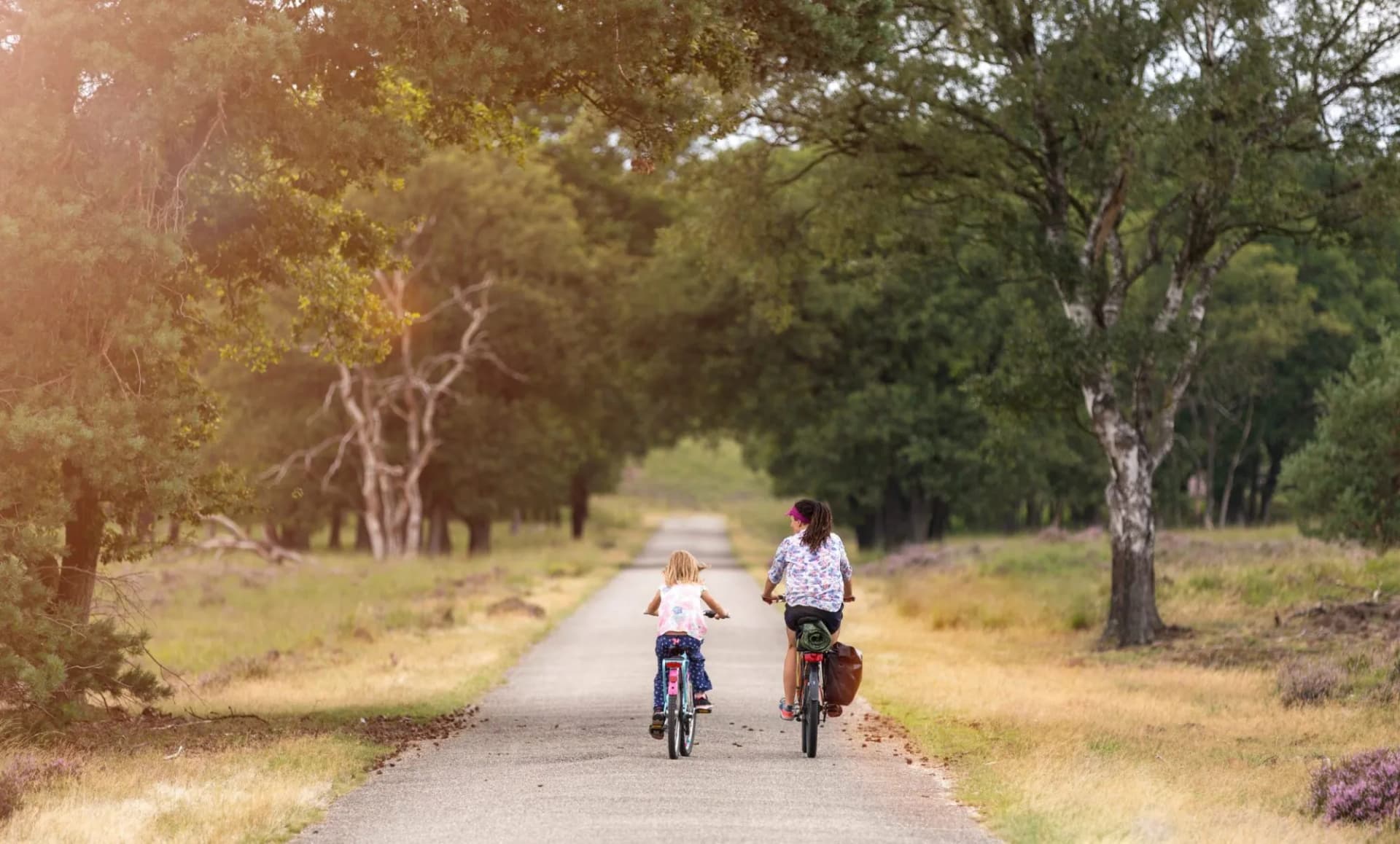 Family bike holland