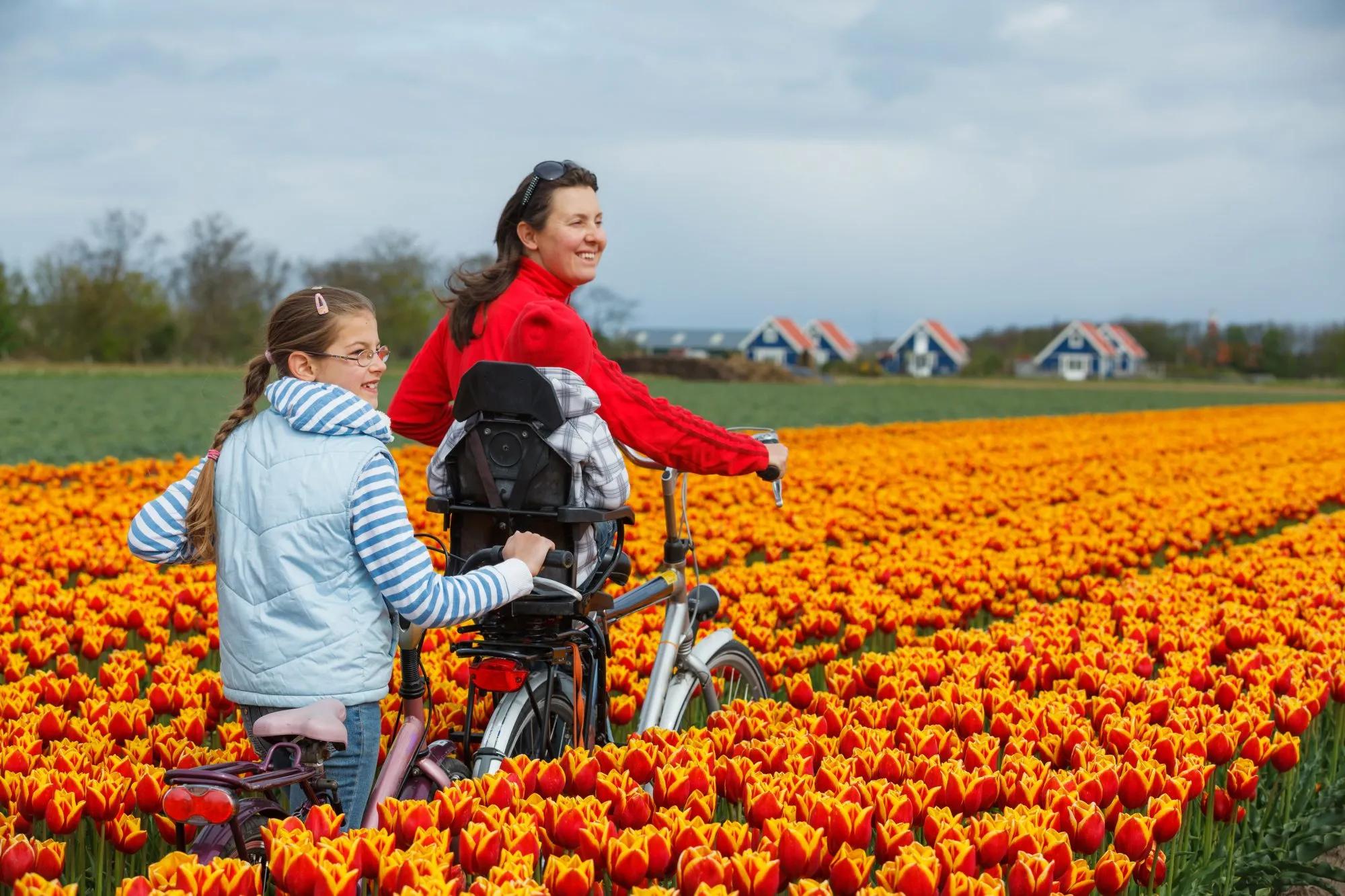 Tulpen, Windmolens en De Kust