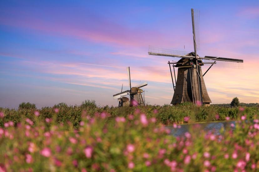 Kinderdijk Windmills image 1