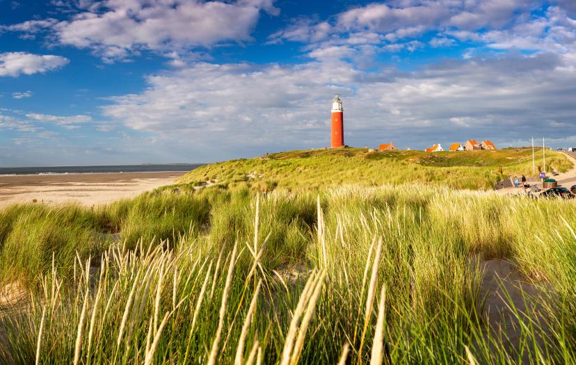 Texel image 1