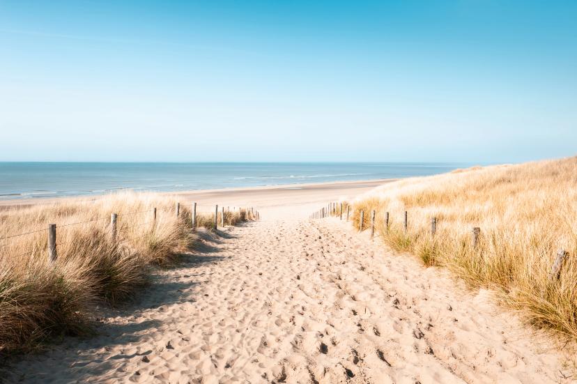 August – Coastlines at Their Best image 1