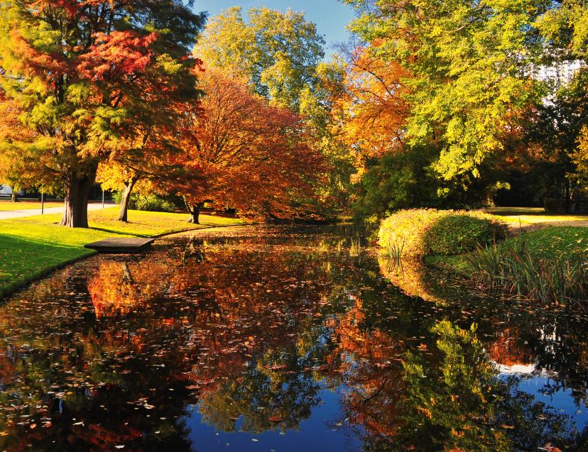 October – Golden Autumn Scenery image 1