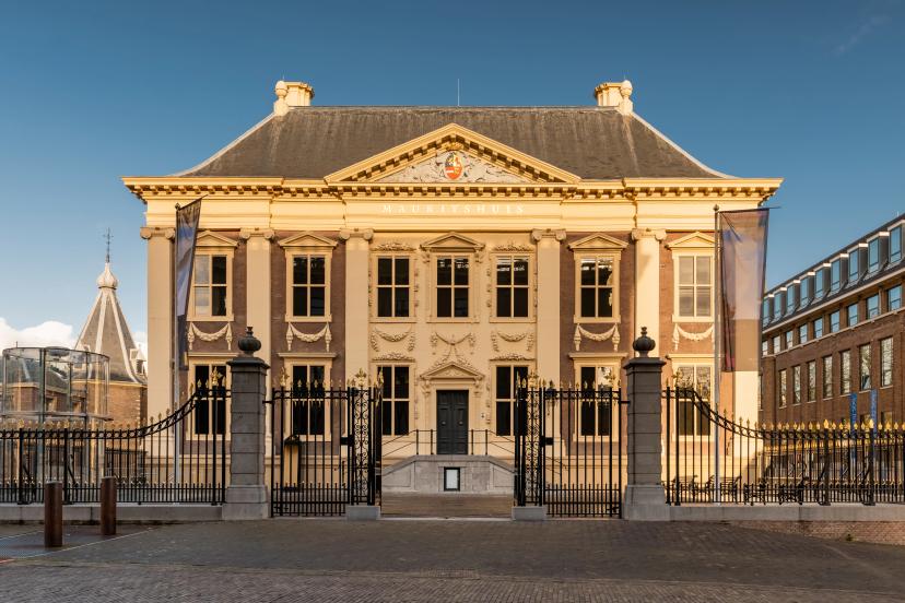 Mauritshuis Museum image 1