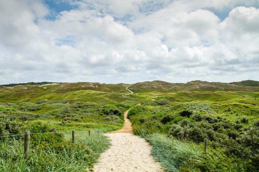 Texel Dunes National Park image 1