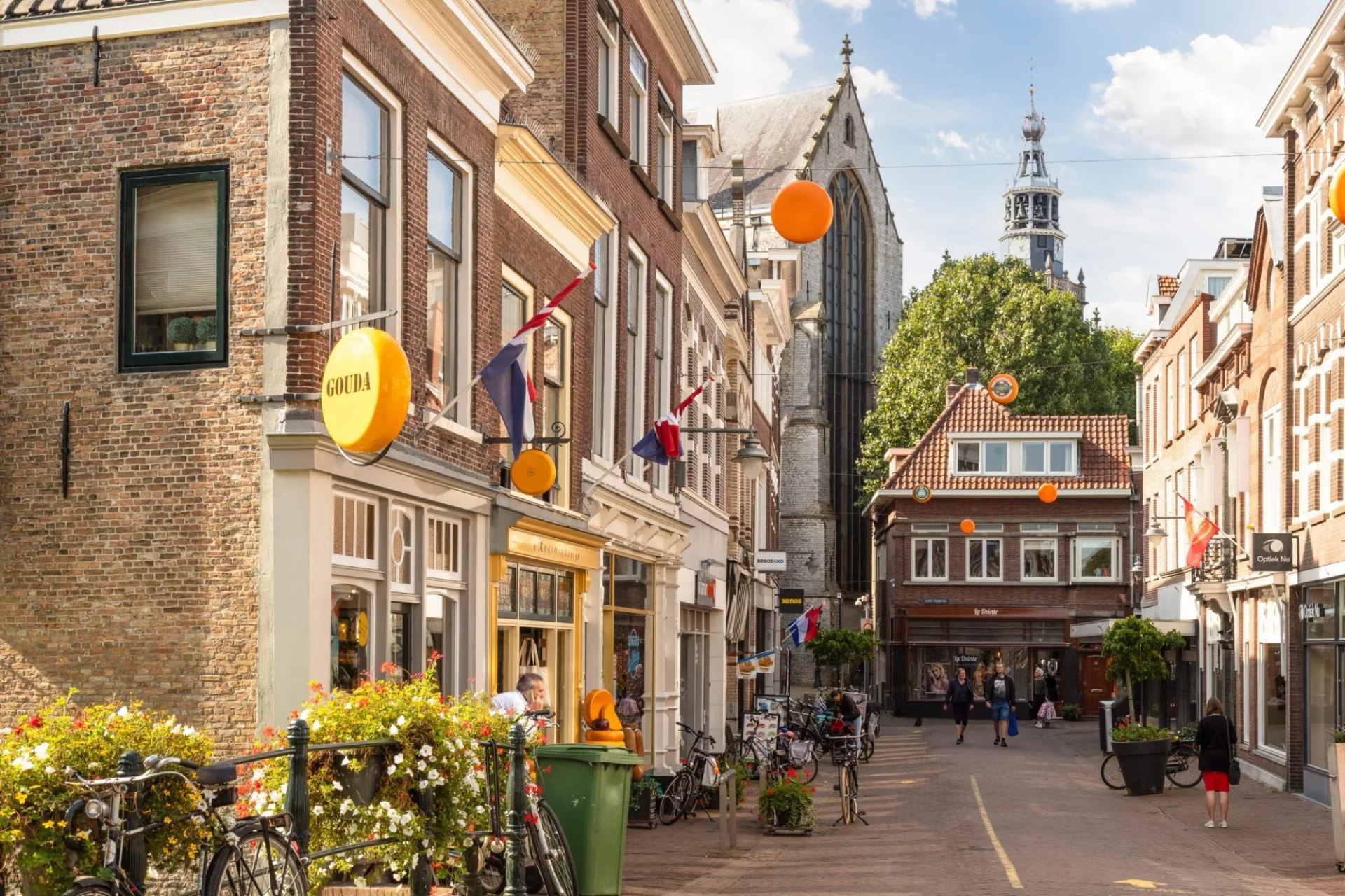 Gouda
