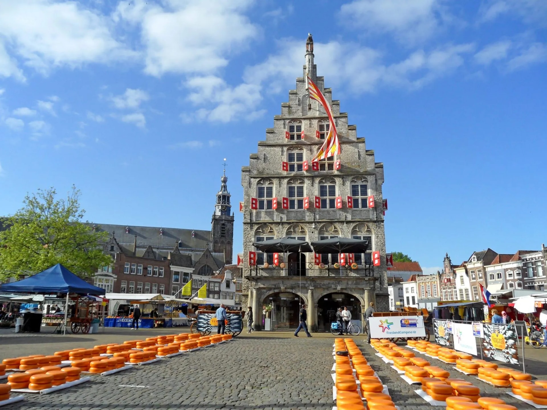 Gouda