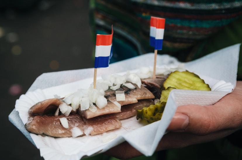 Herring image 1